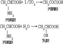 有机物生物降解反应及其机理 - 图15