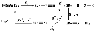 生物固氮作用 - 图1