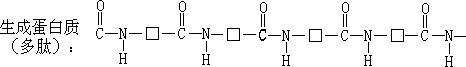 生物体中的含碳有机化合物 - 图7