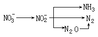 反硝化作用 - 图1