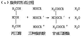 生物体中的含碳有机化合物 - 图3