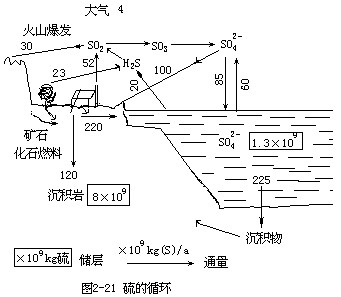 硫的循环 - 图1