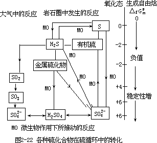 硫的循环 - 图2